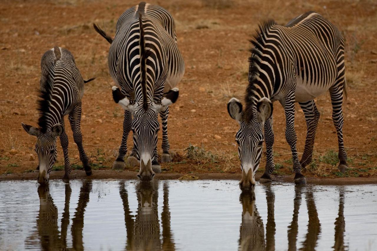 Samburu Sopa Lodge *